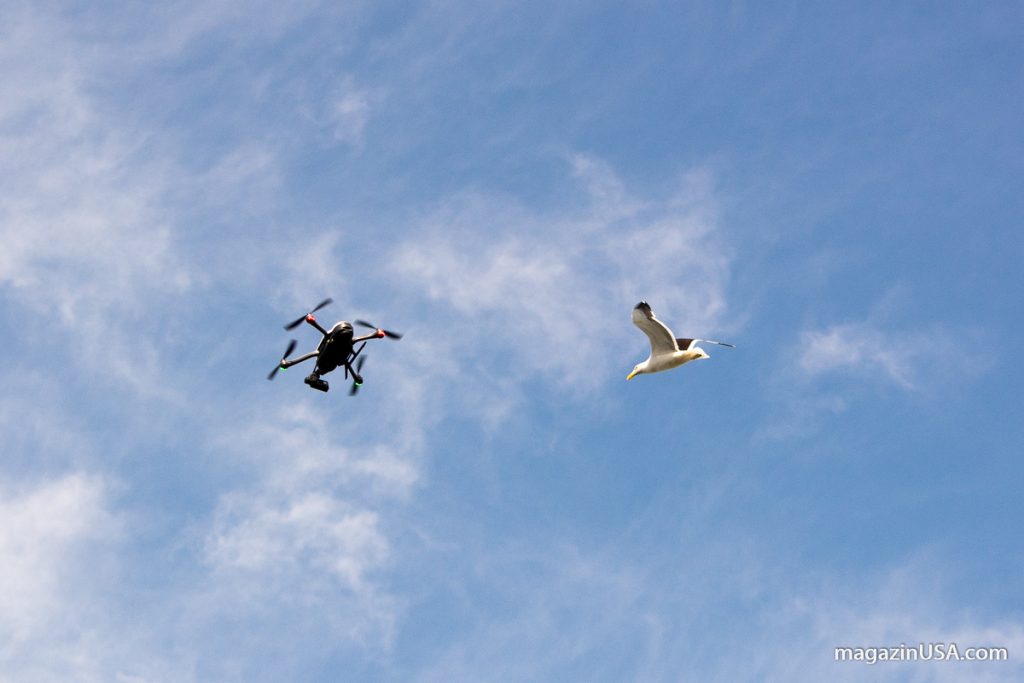 Drohne mit in USA Urlaub nehmen